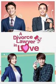 Divorce Lawyer in Love tv show poster