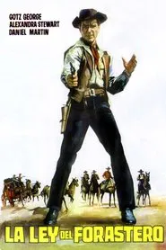 Man Called Gringo movie poster