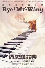 Bye, Mr Wang! movie poster