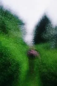 Brouillard #16 movie poster