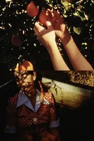 Poster do filme Picking Oranges