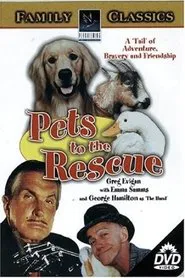 Pets movie poster