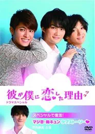 彼が僕に恋した理由 ドラマスペシャル movie poster