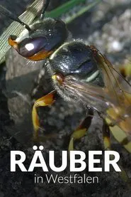 Räuber in Westfalen - Neues Leben in Panzerspuren movie poster