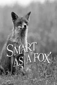 Smart as a Fox movie poster