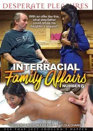 Interracial Family Affairs 6 movie poster