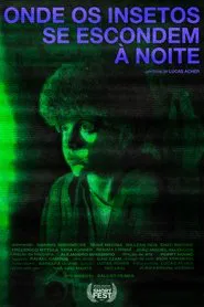 Where Insects Hide at Night movie poster