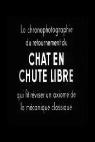 Chat En Chute Libre movie poster