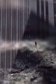 Cruel Optimism movie poster