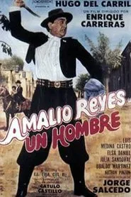 Amalio Reyes, un hombre movie poster