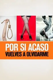 In Case You Forget About Me Again movie poster