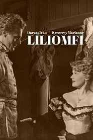 Lily Boy movie poster