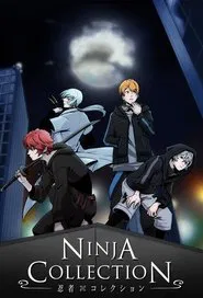 Ninja Collection tv show poster