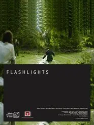 Poster do filme Flashlights