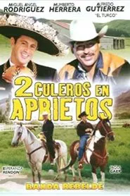 2 culeros en aprietos movie poster