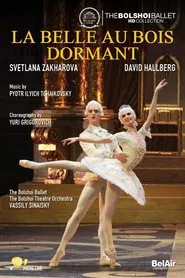 Poster do filme Bolshoi Ballet: The Sleeping Beauty