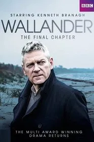 The Troubled Man movie poster