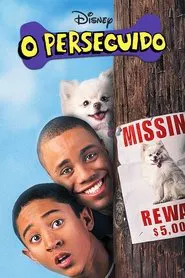 Poster do filme O Perseguido
