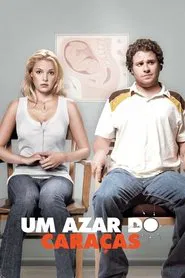 Poster do filme Ligeiramente Grávidos