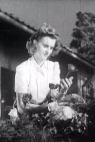 Stay a While! movie poster