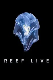 Poster da série Reef Live