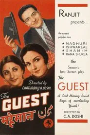 The Guest movie poster