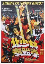 Poster do filme North Shaolin South Taekwon
