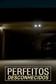 Poster da série Perfeitos Desconhecidos