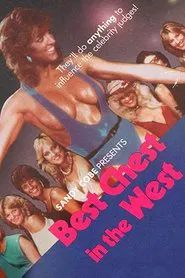 Poster do filme Best Chest in the West