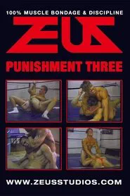 Punishment Three movie poster