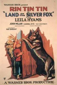 Poster do filme Land of the Silver Fox