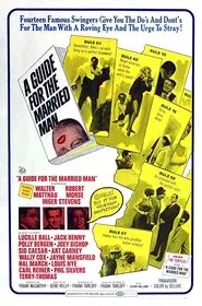 Poster do filme Diário de um Homem Casado