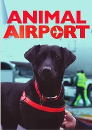 Animal Airport tv show poster