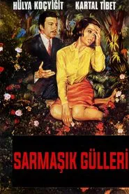 Poster do filme Sarmaşık Gülleri