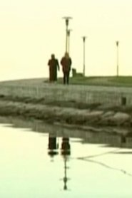 Widow’s Coast movie poster