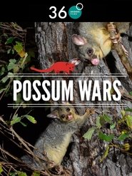 Possum Wars movie poster