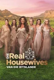 Die Real Housewives van die Wynlande tv show poster