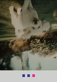 Go-Stop movie poster