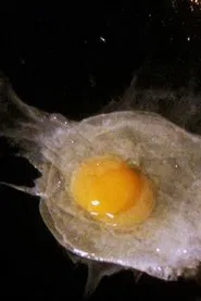 Fried Egg movie poster