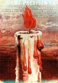 Poster do filme Death of a President