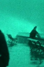 The Maelstrom: A Family Chronicle movie poster