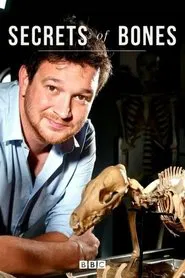 Secrets of Bones tv show poster
