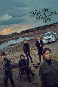 Tell Me What You Saw tv show poster