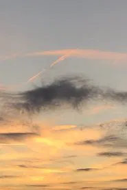 Sunset Sonatina movie poster