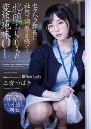 A Perverted Sober OL Who Has Been Trained In-house By The Chief Of Sexual Harassment And Has Fallen Female movie poster