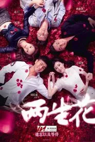 Poster da série 两生花