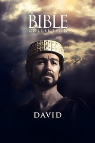 David movie poster