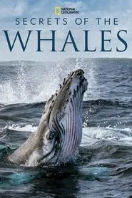 Secrets of the Whales tv show poster