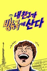 Secret Friend of Idols tv show poster