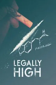 Legally High movie poster